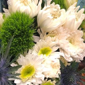 Meet your Posher, Tina